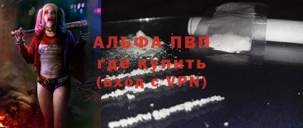 ALPHA PVP Елизово