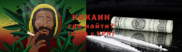 ALPHA PVP Елизово